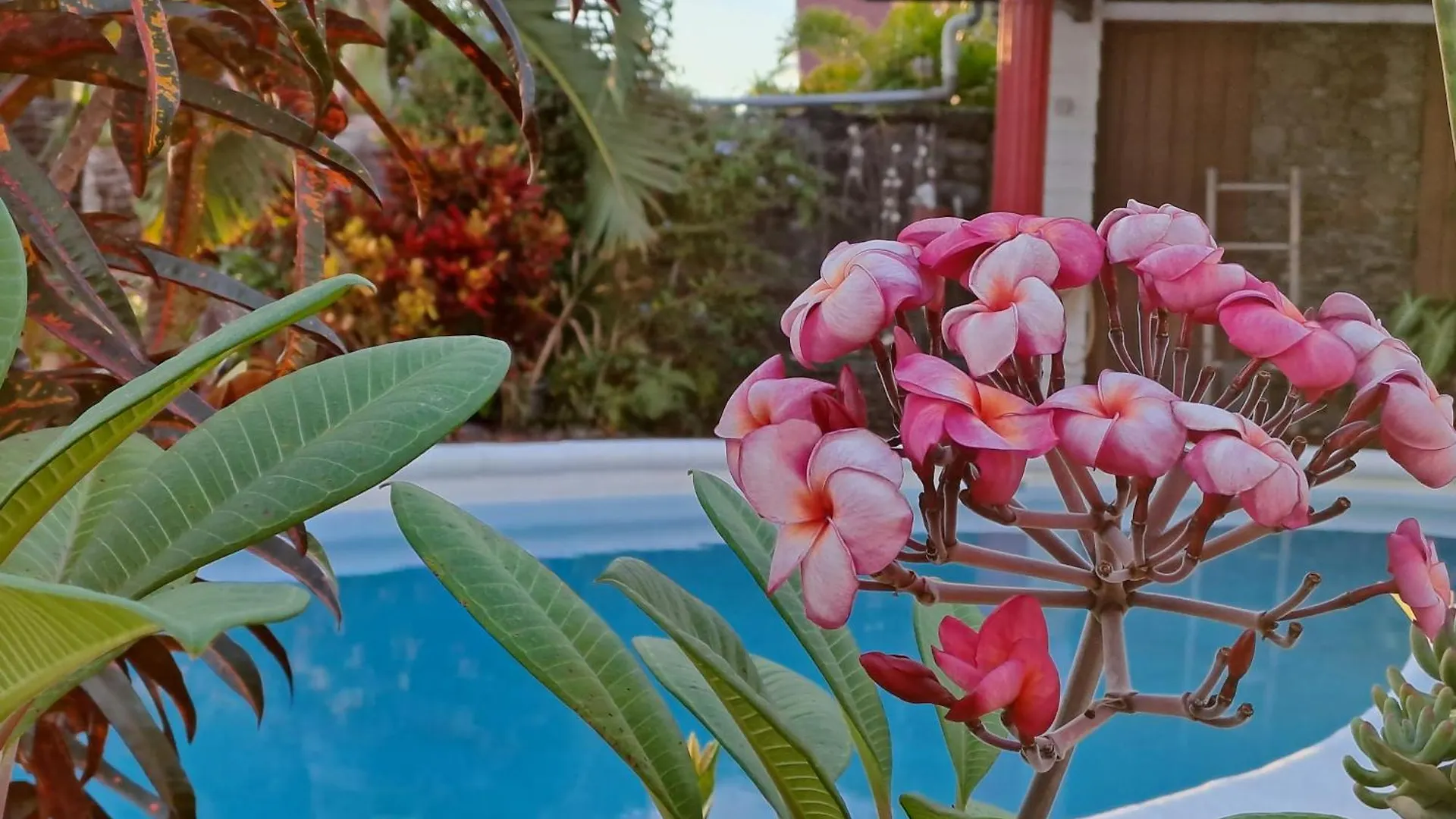 Habitación en casa particular Chambres D'Hotes - Cote Mer - Tahiti Sunset Home Punaauia